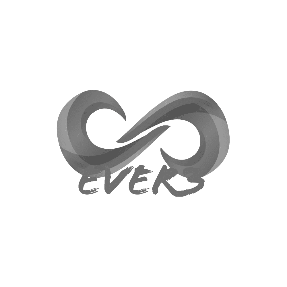logo Ever3